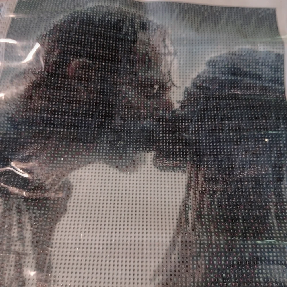 The Walking Dead - Rick And Michonne Diamond Art Painting Kit 30x40